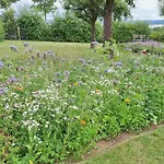 Suentelblick